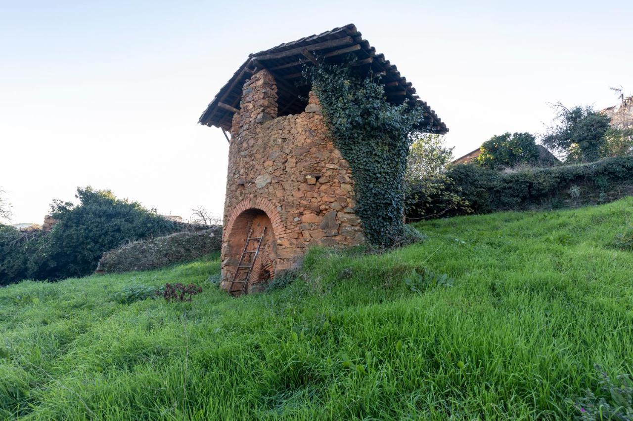 Casa Rural El Abeto Torre de Don Miguel Extérieur photo