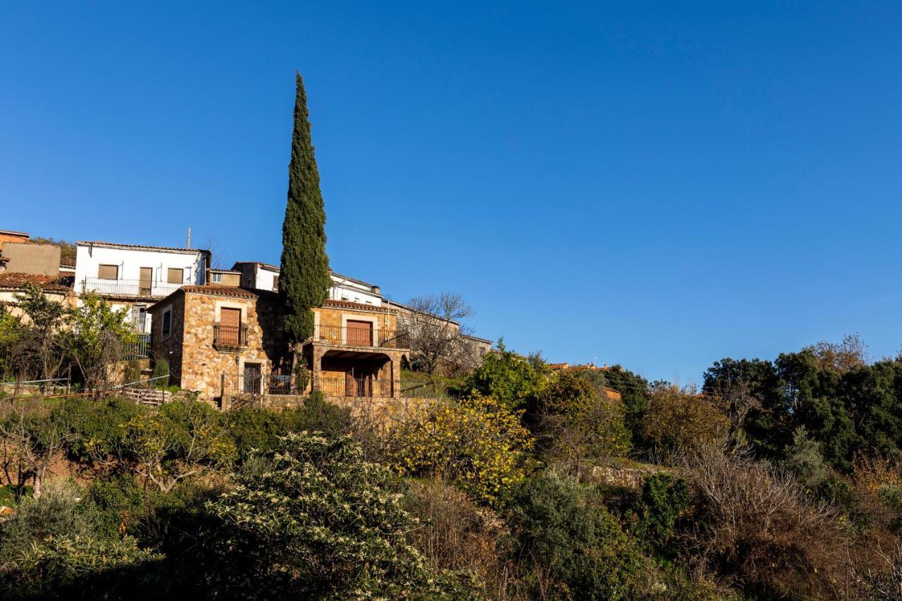 Casa Rural El Abeto Torre de Don Miguel Extérieur photo